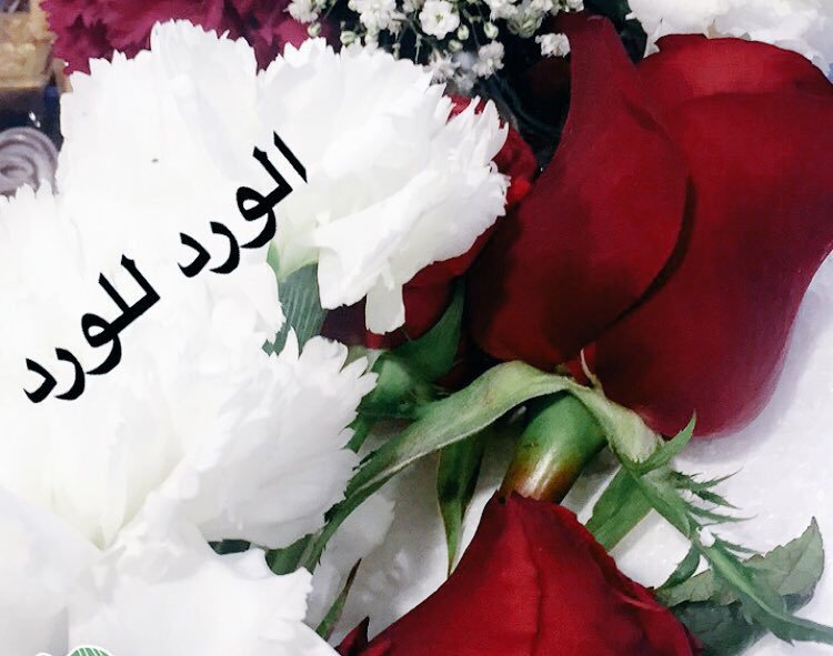 صباح الورد للورد