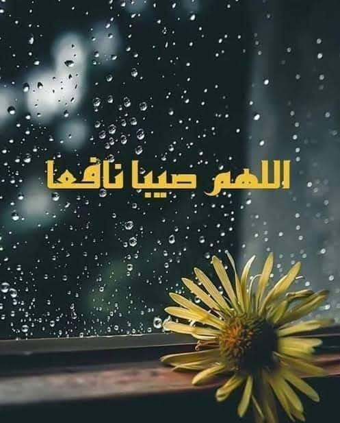 اللهم صيباً نافعاً تويتر
