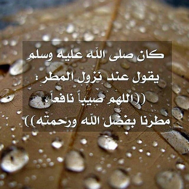 ما المقصود بدعاء اللهم صيبا نافعا