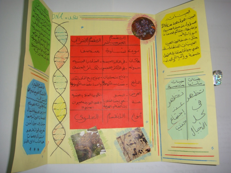 مطويات عن مادة العلوم ٣