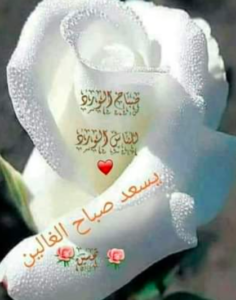 صباح الورد للغاليين