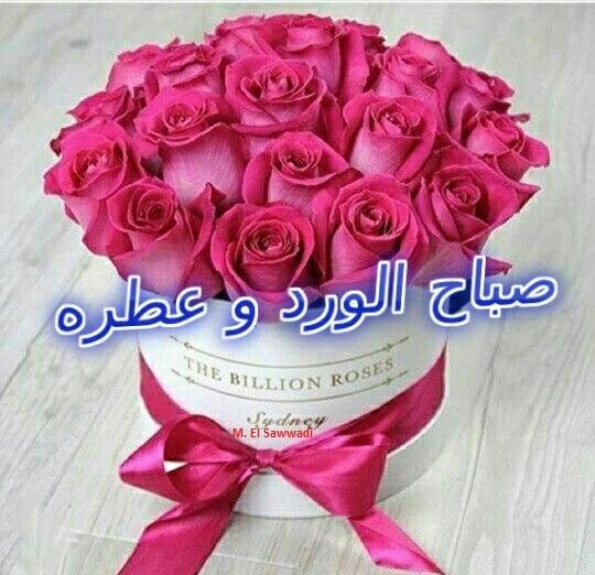 صباح الورد وعطره