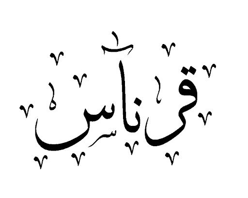 سيرة ذاتية للفيس بوك مزخرفة