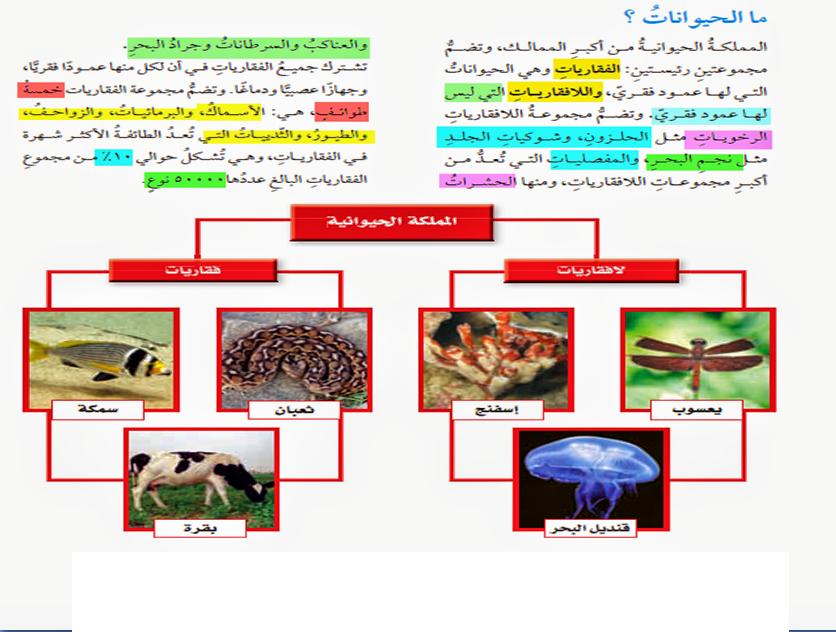 مطويات عن الكائنات الحية ٧