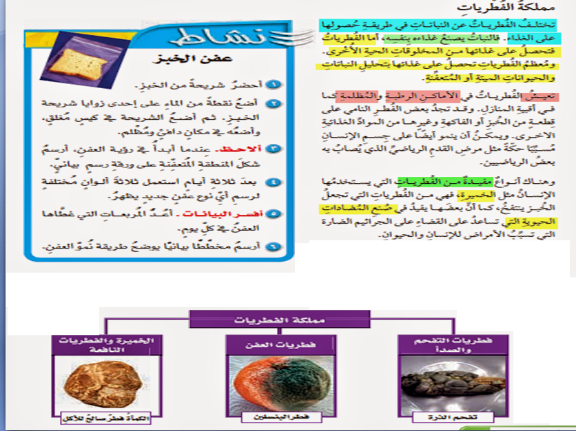 مطويات عن الكائنات الحية ٦