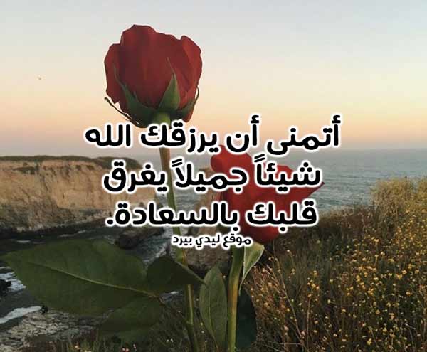 كلام جميل لانسان تحترمه