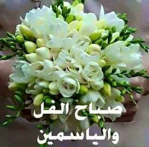 صباح الورد والفل والياسمين