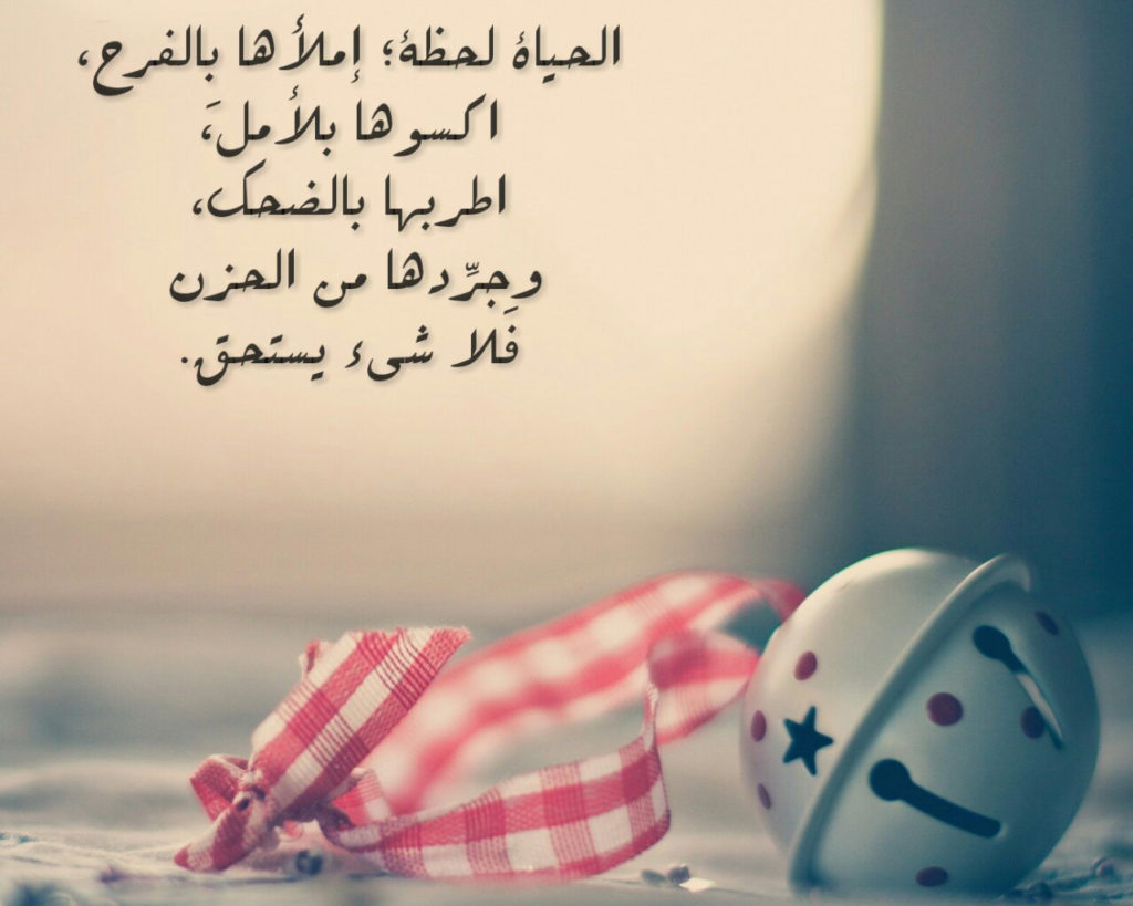 شعر عن الحياة السعيدة
