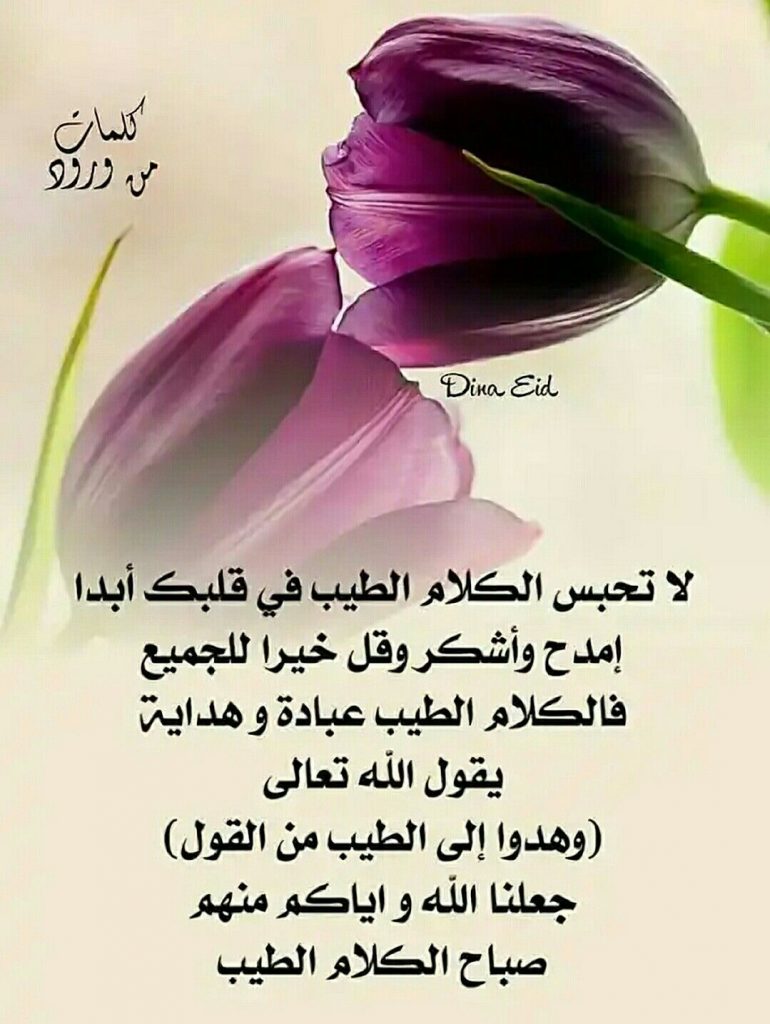 عبارات جميلة عن الكلمة الطيبة