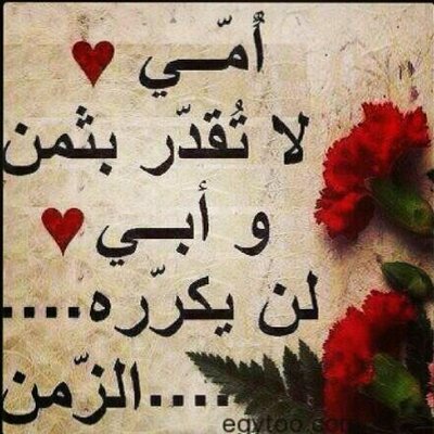 شعر عن الأم الشافعي