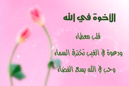 شعر عن الأخوة في الله