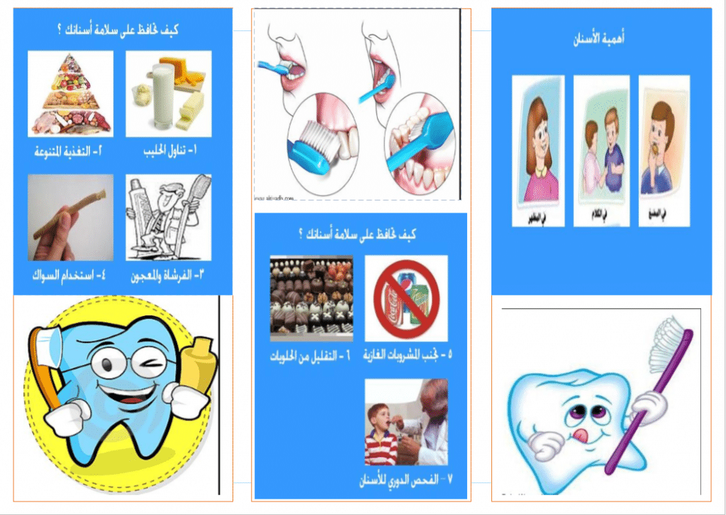 مطوية عن الأسنان  1