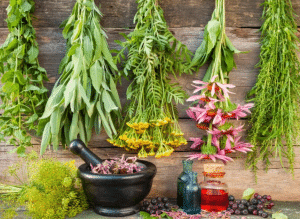 زيادة الطول بالأعشاب