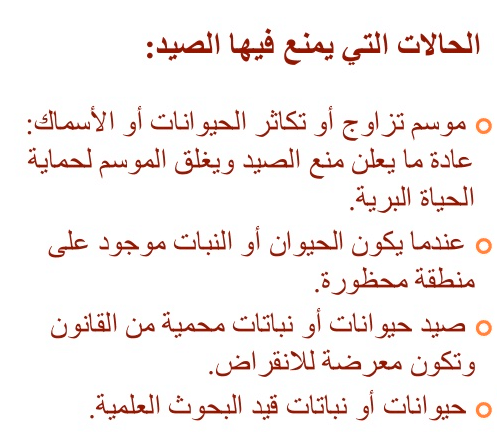 مطويات عن الصيد 2