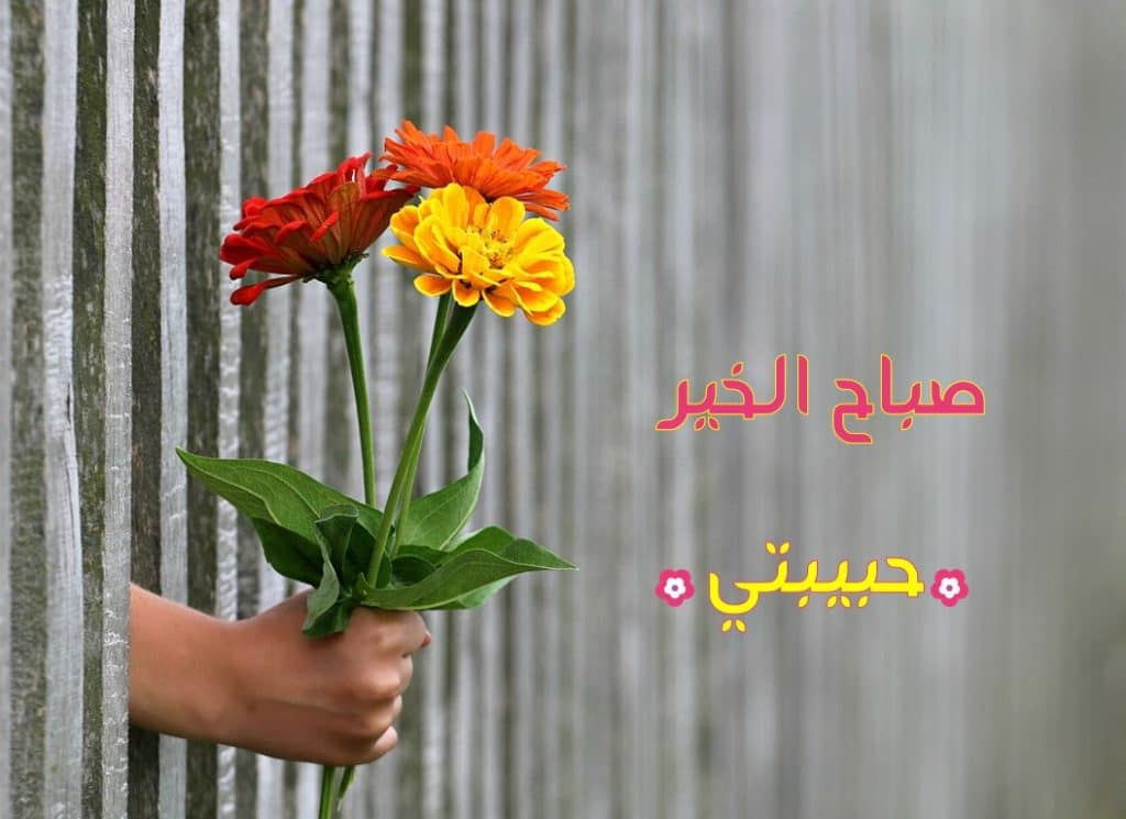 رسائل صباحية رومانسية قصيرة