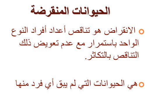 مطويات عن الصيد 3