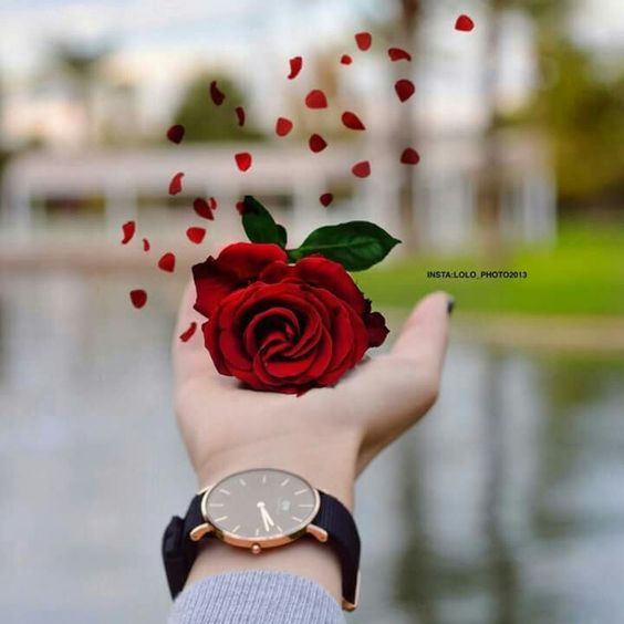 اجمل الصور خلفيات واتس اب للبنات 2