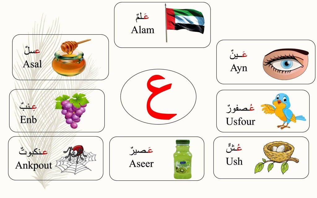 مطوية حرف ع 5