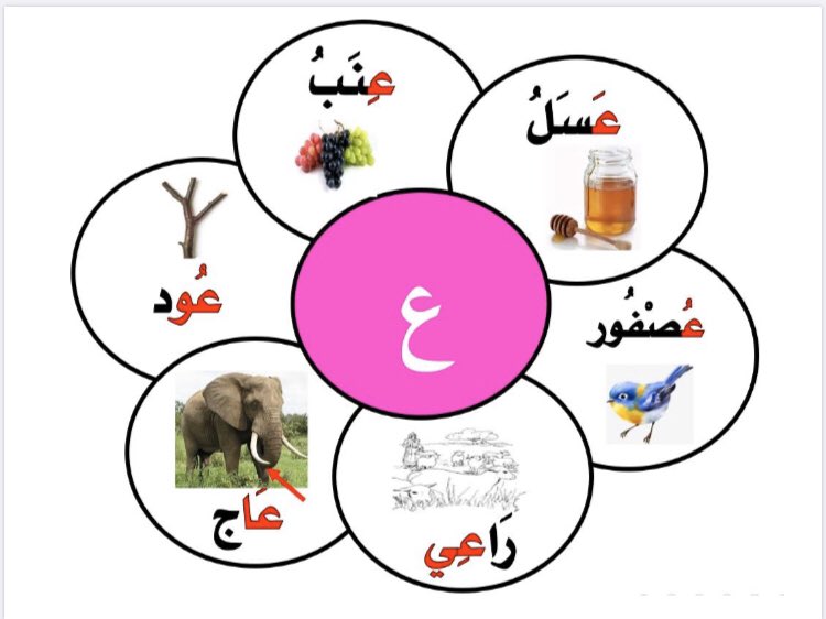 مطوية حرف ع 1