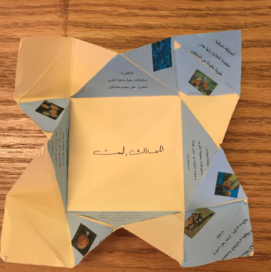 اشكال مطويات روعه بالصور 6