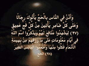 فوائد آية وأذن في الناس بِالْحَجِّ للزواج
