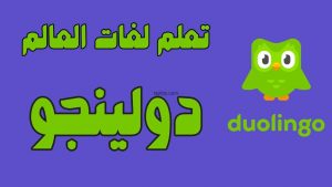 تجربتي مع برنامج دولينجو