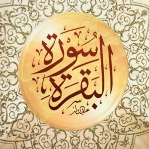 تجربتي مع برنامج سورة البقرة المكثف