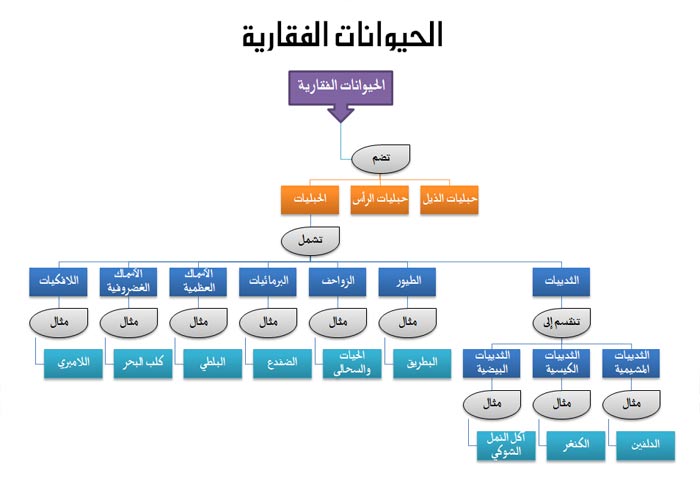 مطوية عن فصائل مجموعات الحيوانات الفقارية 1