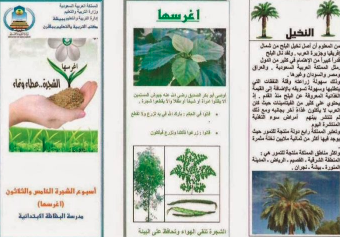 مطـويات عن الزراعه 6