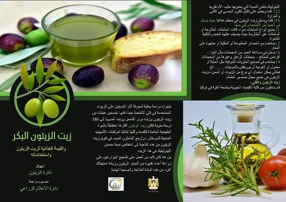 مطويات عن الزيتون 1