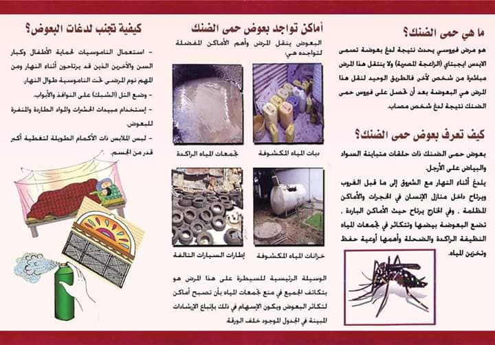 مطويات عن حمى الضنك 4