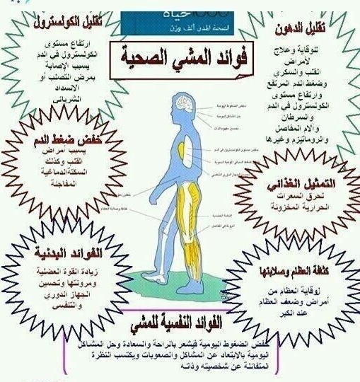 مطويات عن رياضة المشي 3