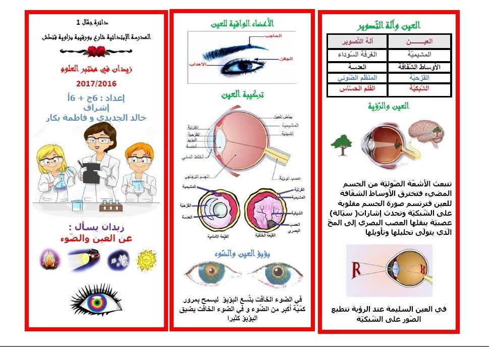 مطـويات عن صحة العين 2