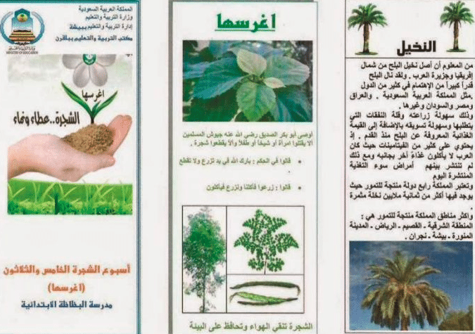 مطويات عن الشجرة 3