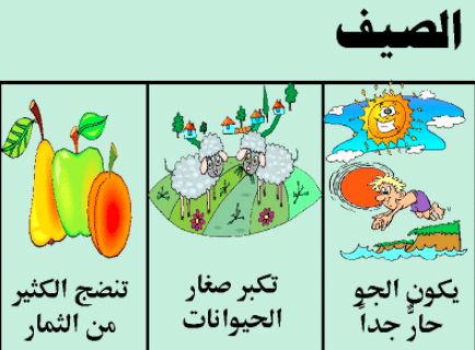 مطوية عن فصل الصيف 1