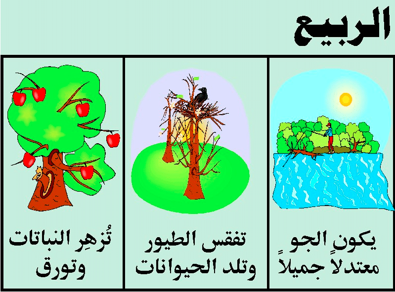 مطـويات عن فصل الربيع 2