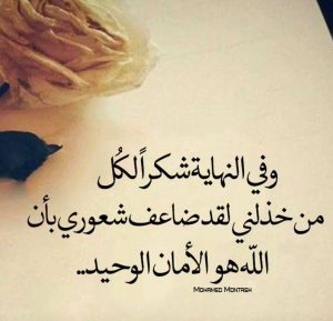 شكرا لكل من احتجته ولم اجده