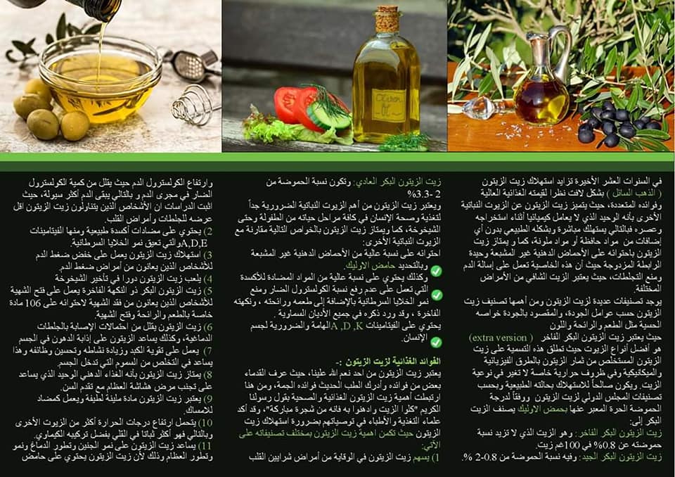 مطويات عن الزيتون 2