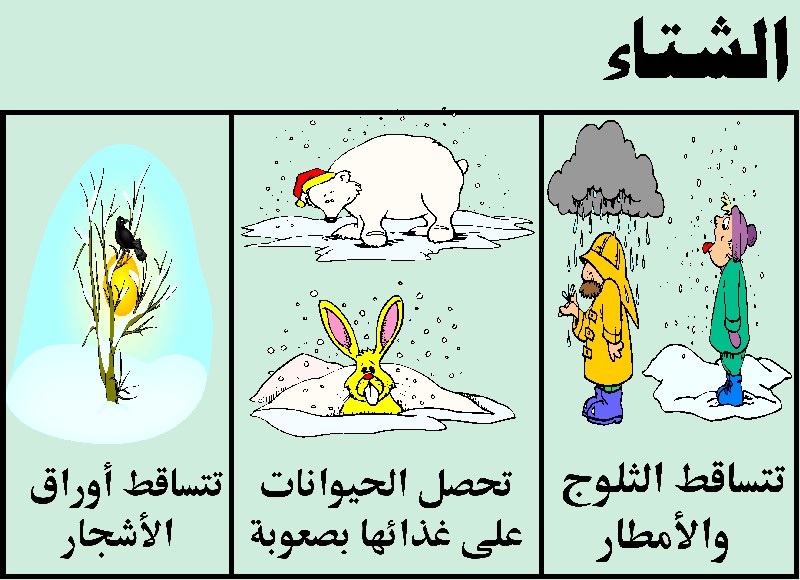 مطويات عن فصل الشتاء 3