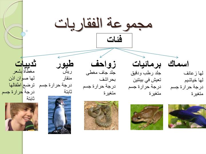 مطوية عن فصائل مجموعات الحيوانات الفقارية 3