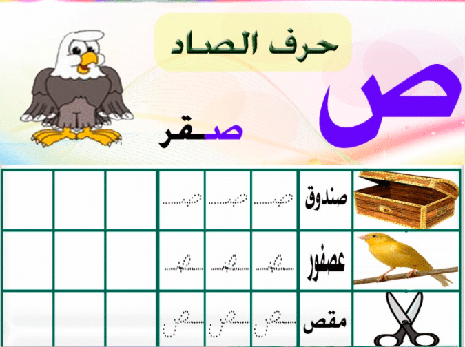 مطوية عن حرف الصاد6