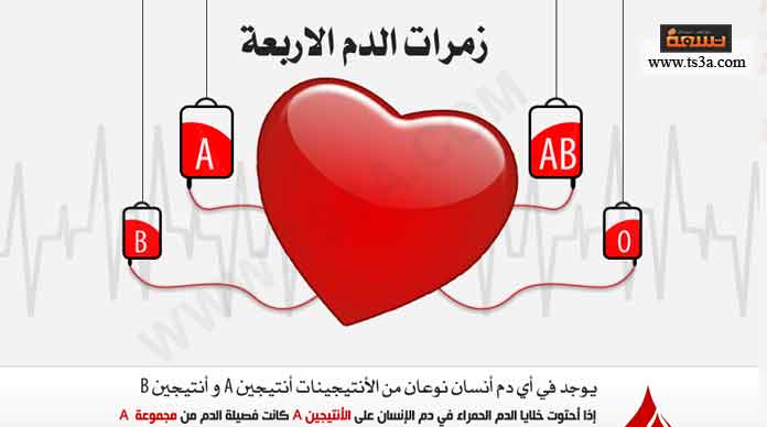 مطويات عن فصائل الدم 3