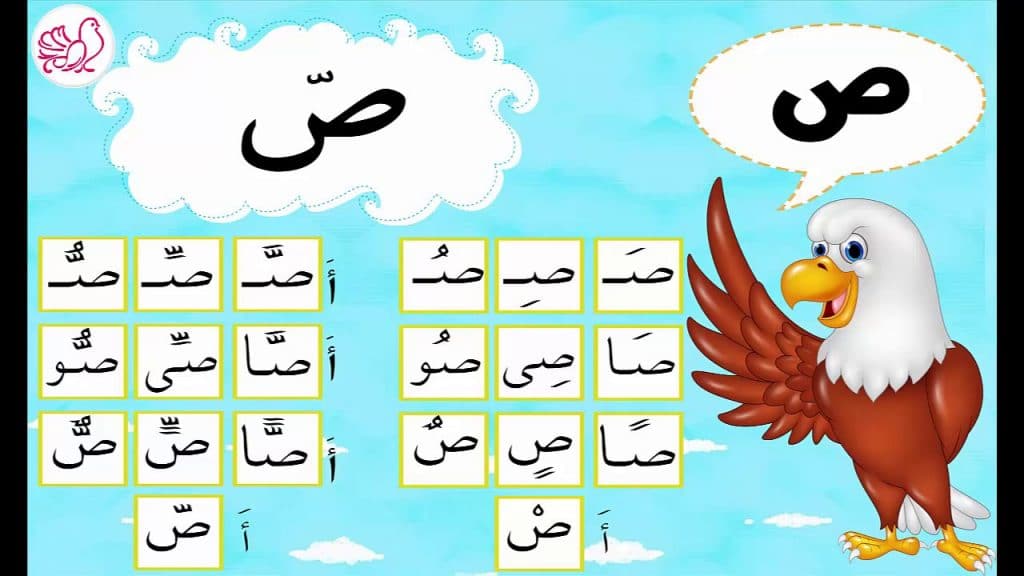 مطوية عن حرف الصاد4