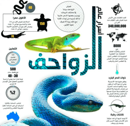 مطويات عن الزواحف 2