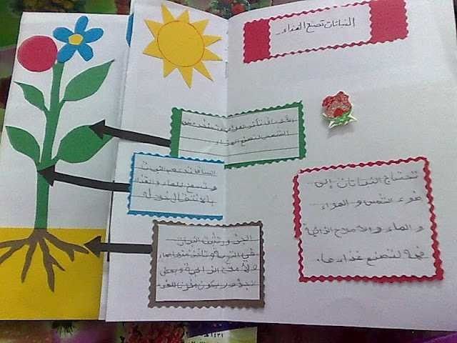 مطـويات عن دورة حياة النبات 3