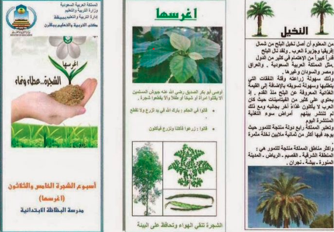 مطـوية عن اسبوع الشجرة جاهزة للطباعة 6