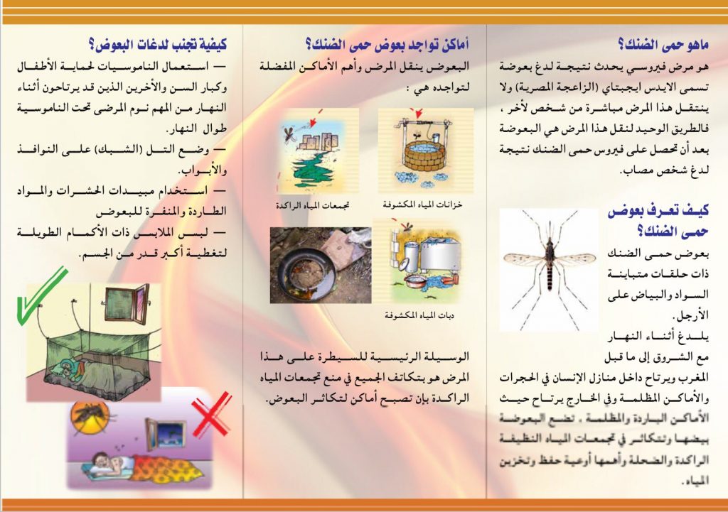 مطويات عن حمى الضنك 2