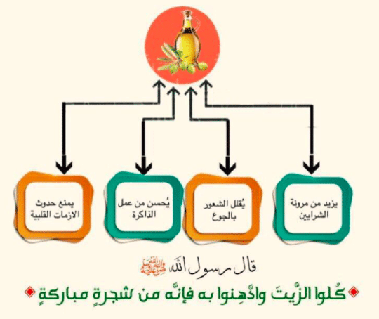 مطويات عن الزيتون 5