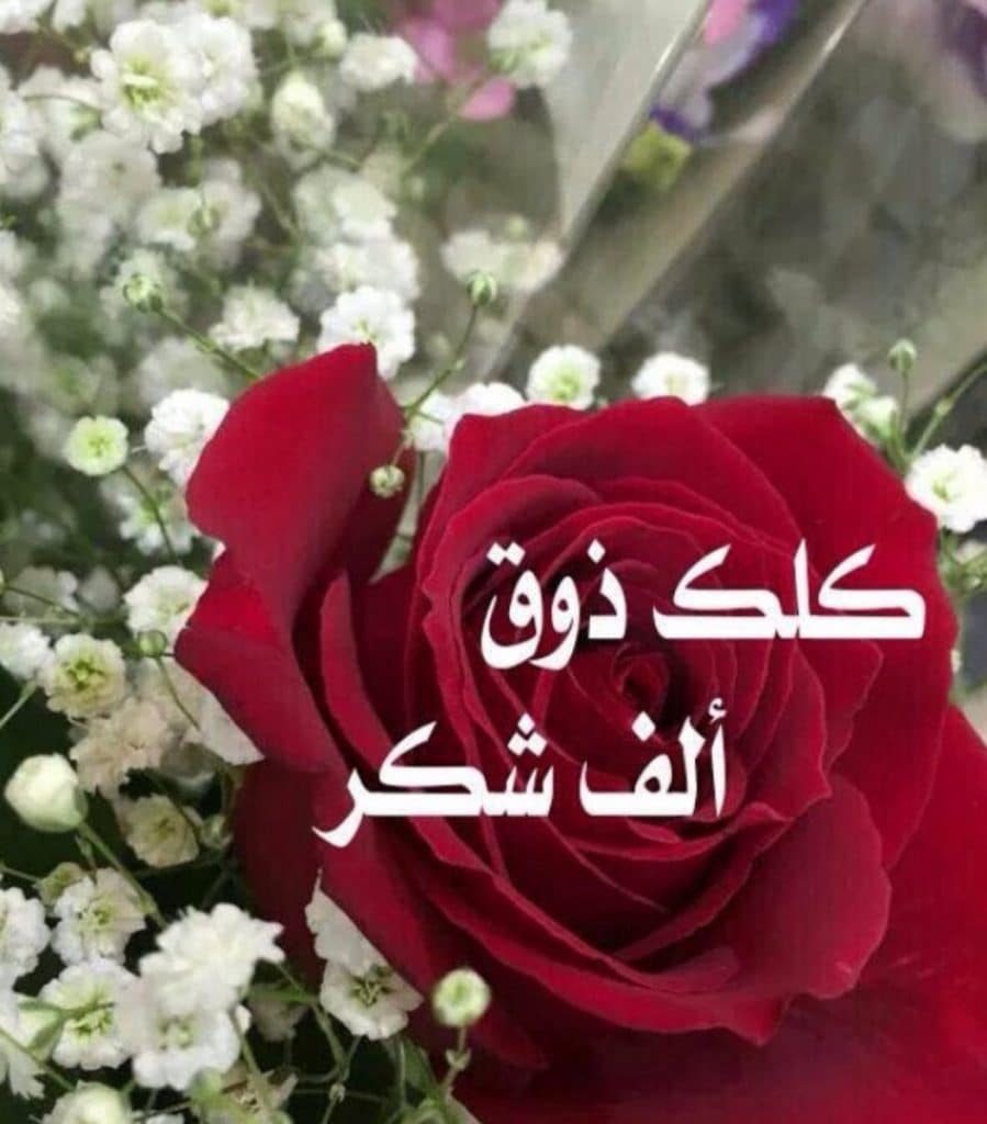 عبارات شكر على هدية تويتر