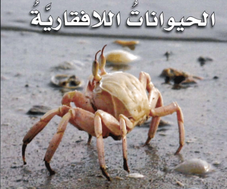 الحيوانات اللافقرية